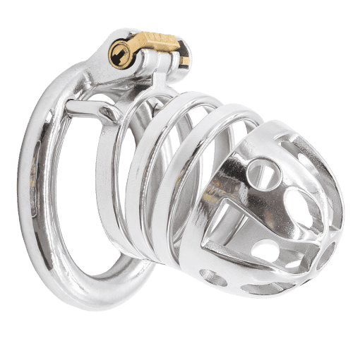 Kyskhedsbur Metal Prettydick L